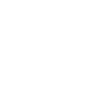 map-texas-icon-white